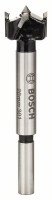 BOSCH 2608597604 Sukovník s tvrdokovom a predrezovými hrotmi 20 x 90 mm, d 8 mm